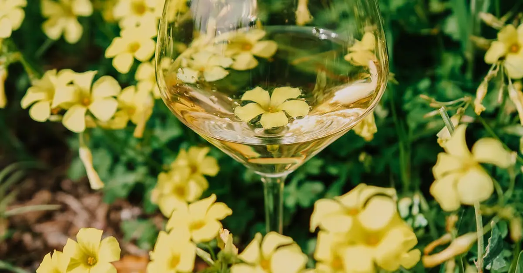 Quiz for: American Wine Country: Beyond Napa Valley