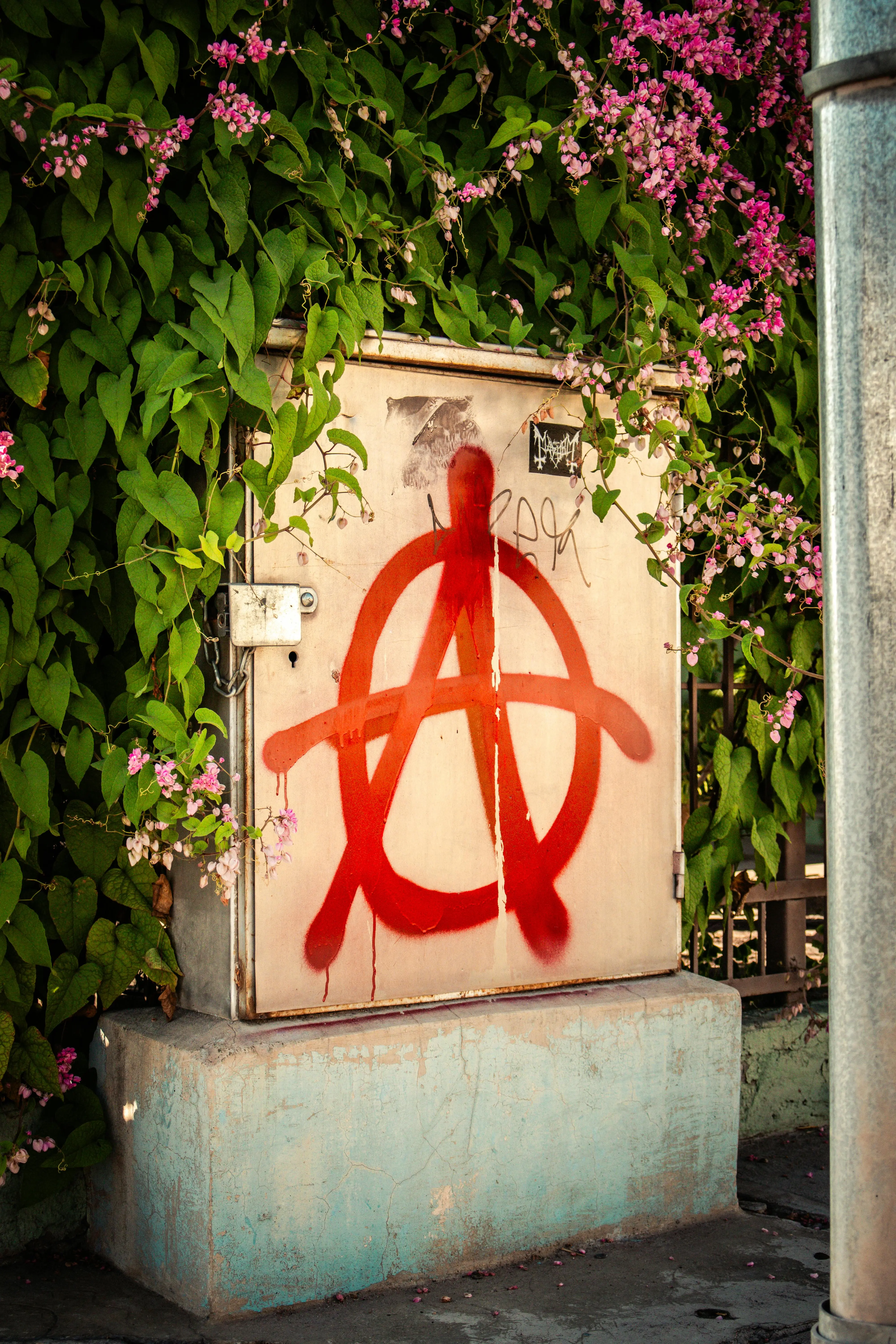 Quiz for: The Anarchy