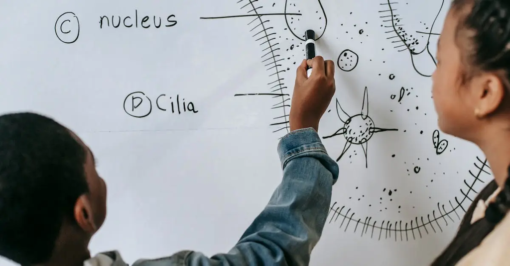 Quiz for: Cell Biology & Genetics