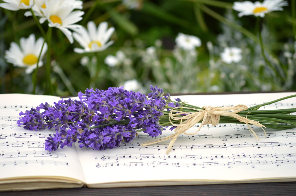 Quiz for: Mother's Day Songs