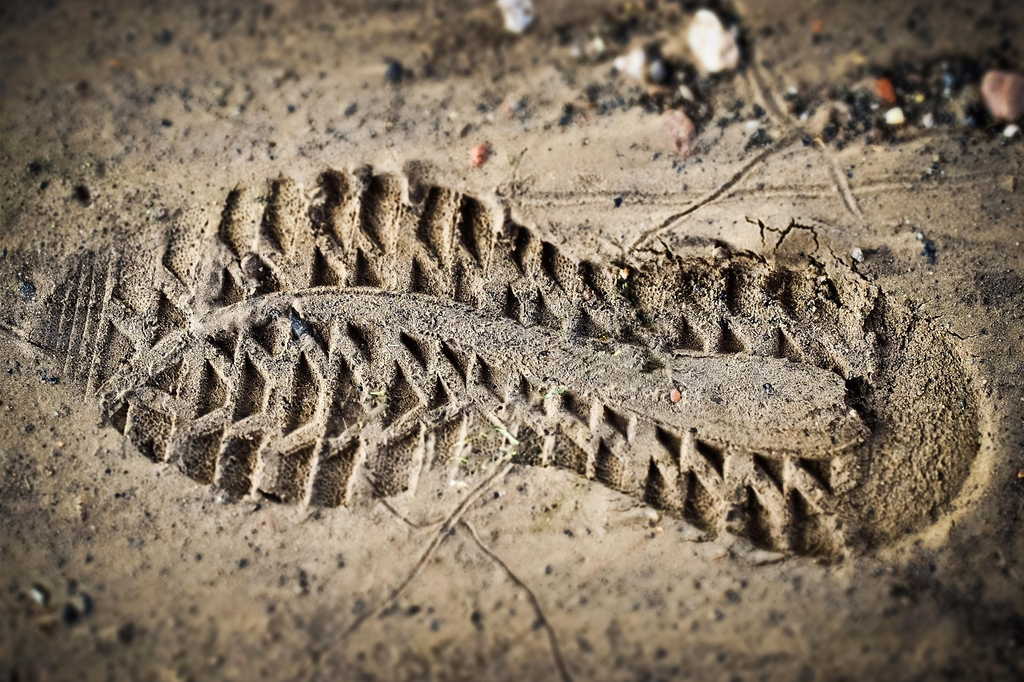 Quiz for: Forensic Visual Clues