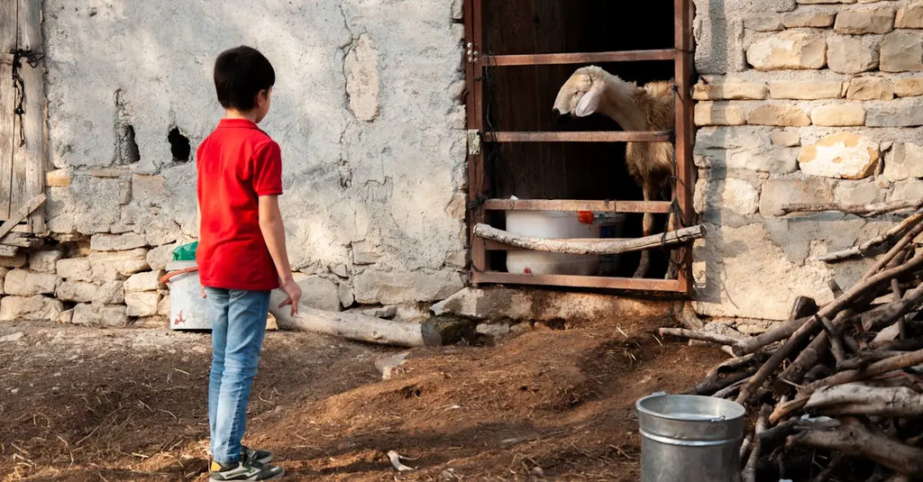 Quiz for: Animal Facts for Kids