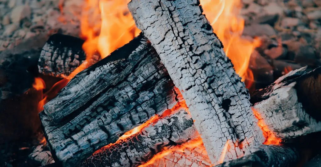 Quiz for: Survival Skills