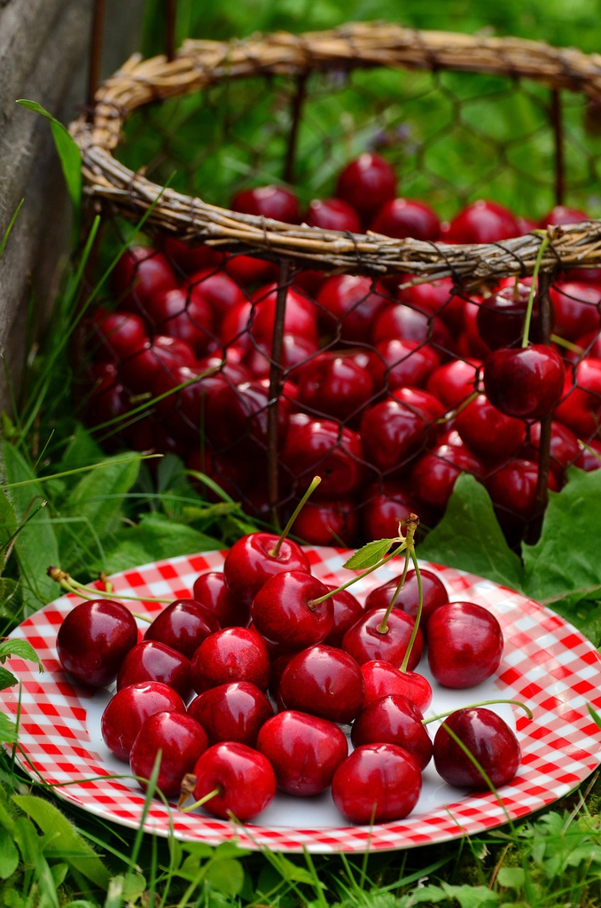 Quiz for: Common Uses of Cherries