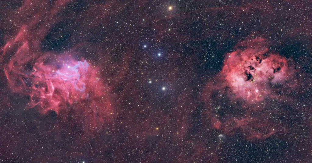 Quiz for: Guest Stars