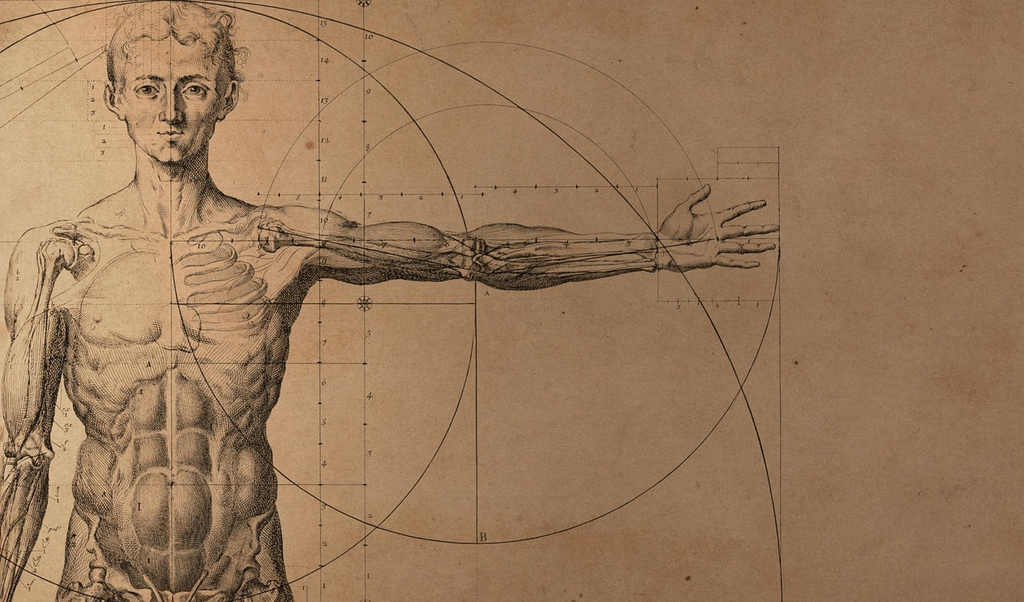 Quiz for: Scientific Diagrams