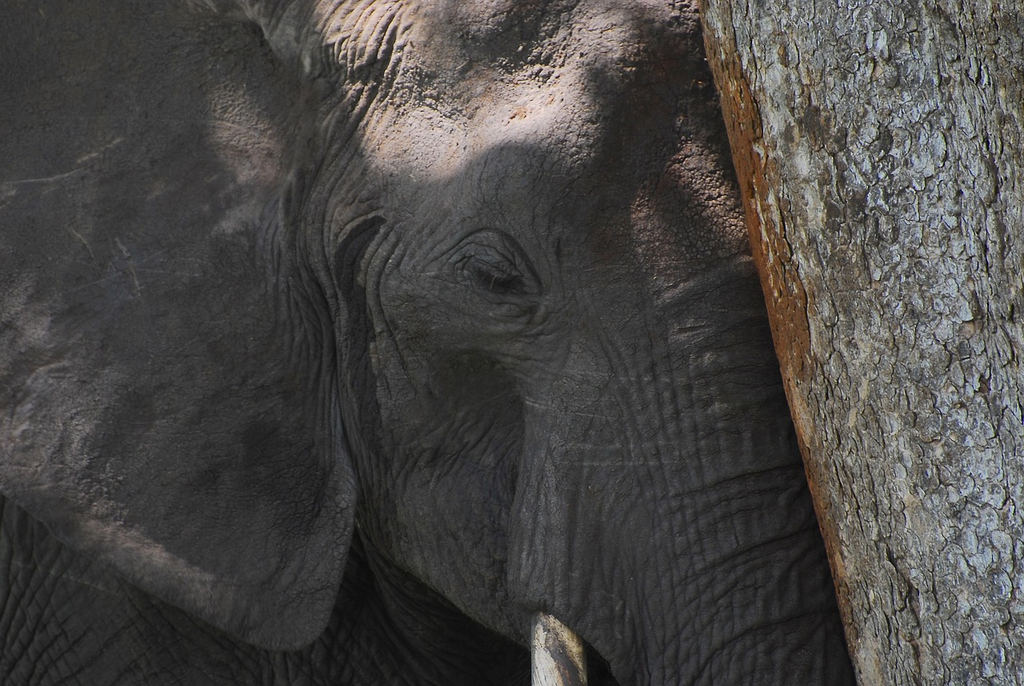 Quiz for: The Big Change