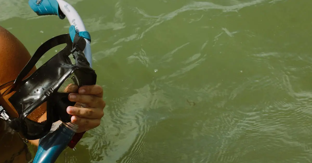 Quiz for: Underwater Adventures