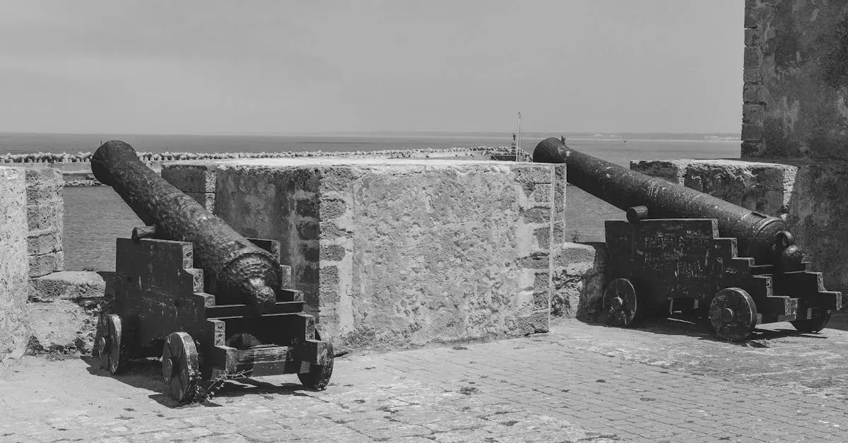 Quiz for: The Boer Wars