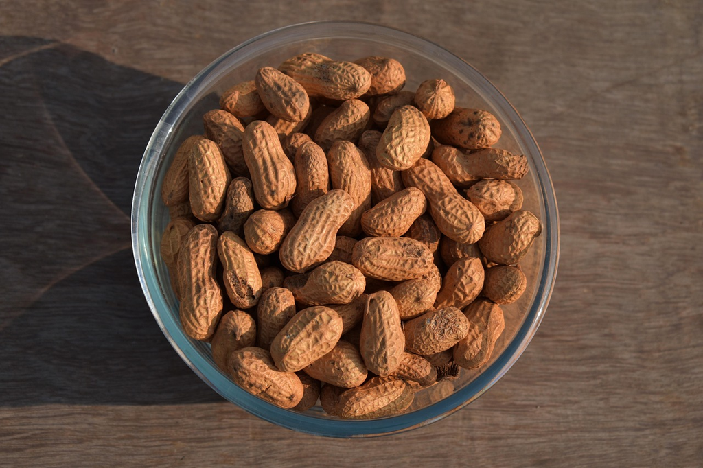 Quiz for: Types of Legumes