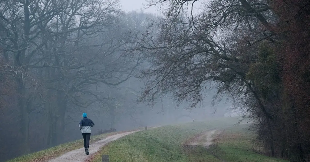 Quiz for: Training Paths & Qualifications