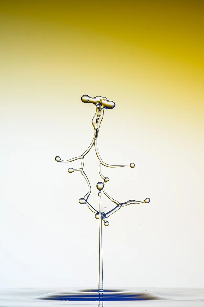 Quiz for: Understanding Gravity