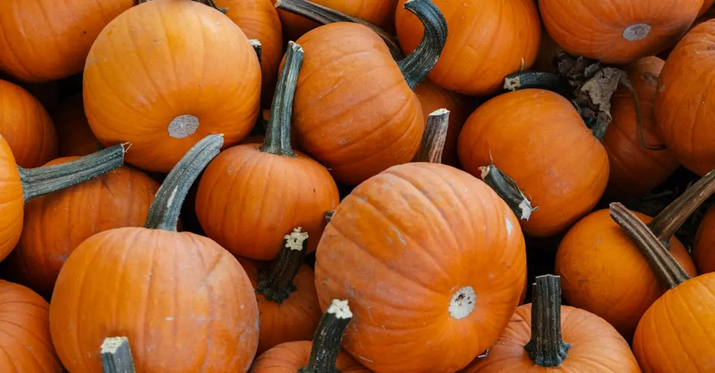 Quiz for: Thanksgiving Episodes