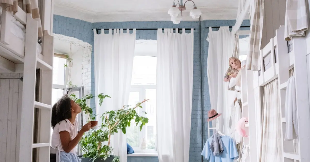 Quiz for: Dorm Life 101