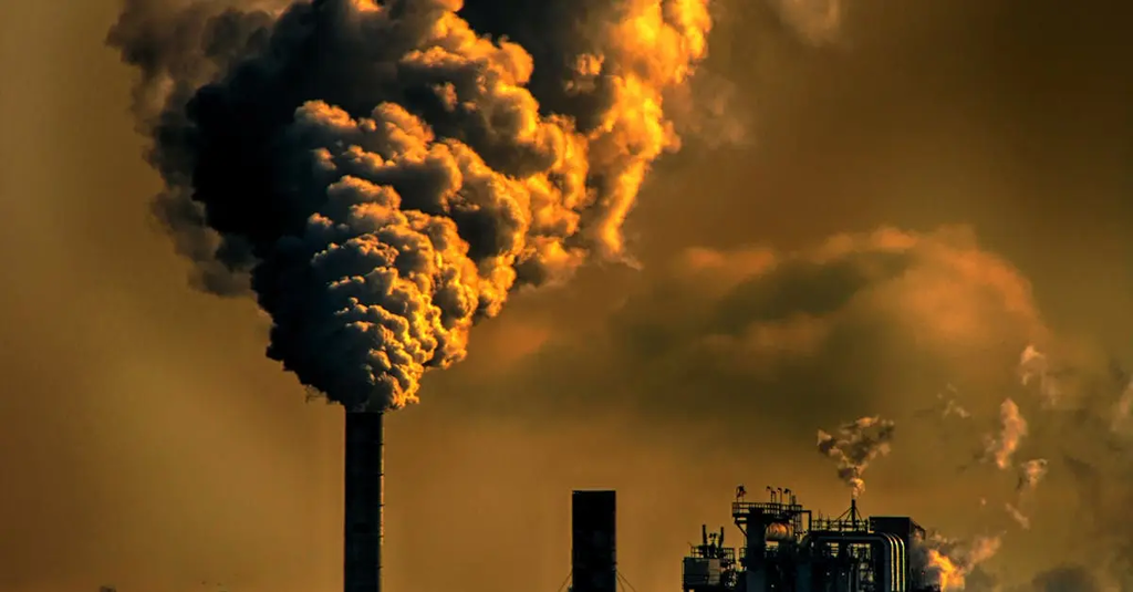 Quiz for: Carbon Footprint