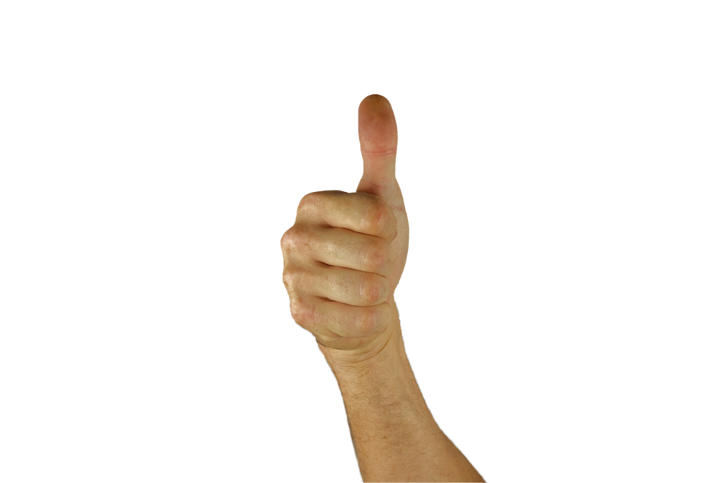 Quiz for: Basic Thumbs Up