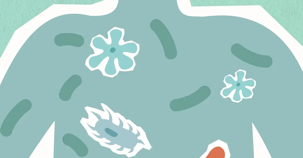 Quiz for: Gut Health & Microbiome