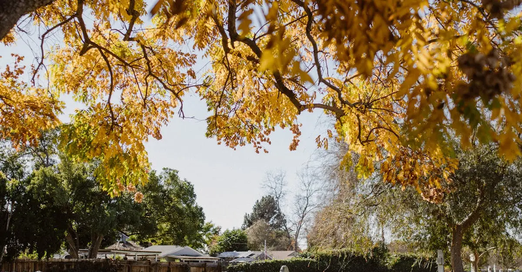 Quiz for: Final Season