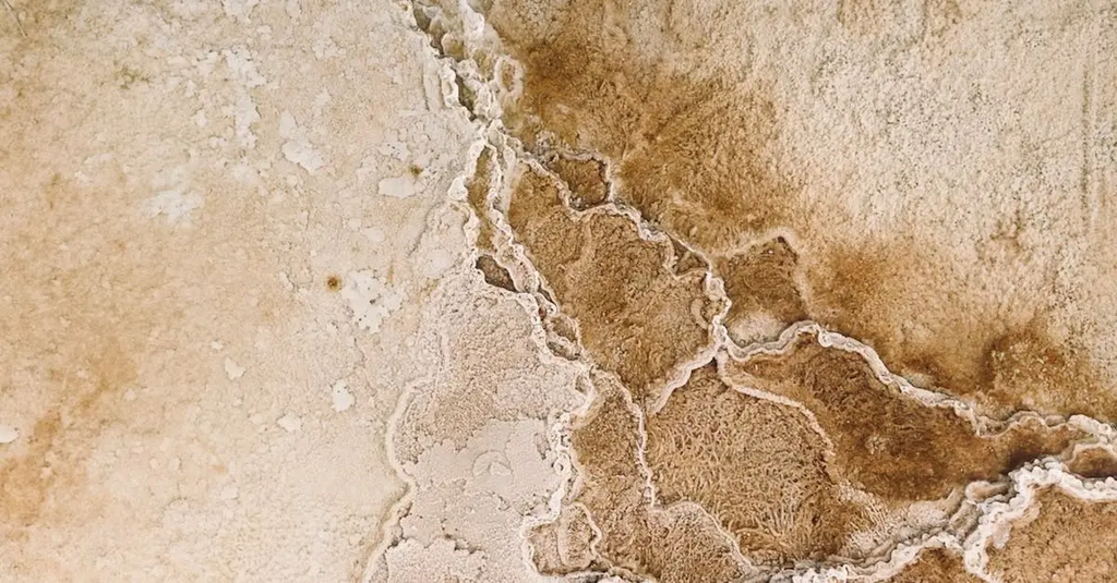 Quiz for: Earth Science & Geology