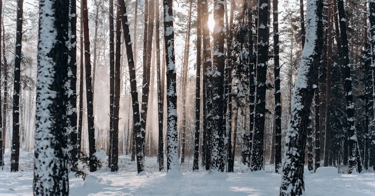 Quiz for: The Winter of Discontent