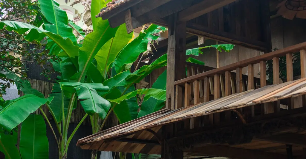 Quiz for: Sustainable Living