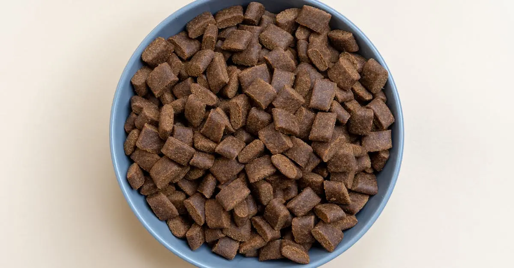 Quiz for: Portion Control for Dogs