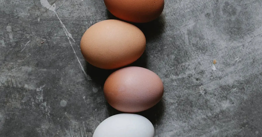 Quiz for: Nutrition Basics