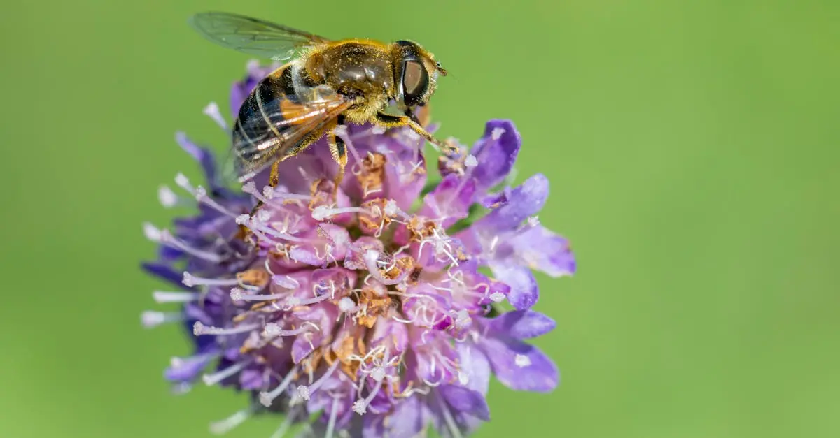 Animal Fun Facts: Nature's Wildest Secrets